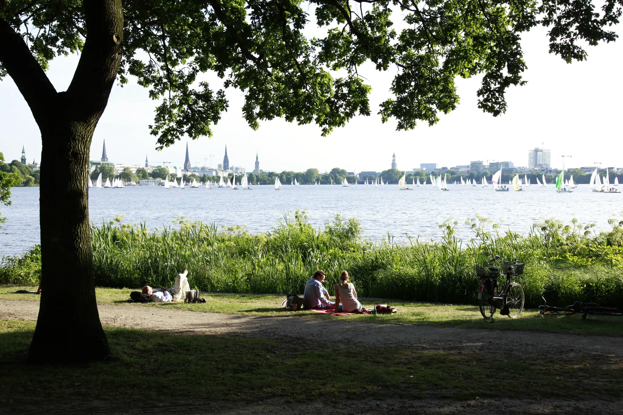 Personen sitzen auf einer Decke im Park vor dem Panorama der Außenalster mit Segelbooten