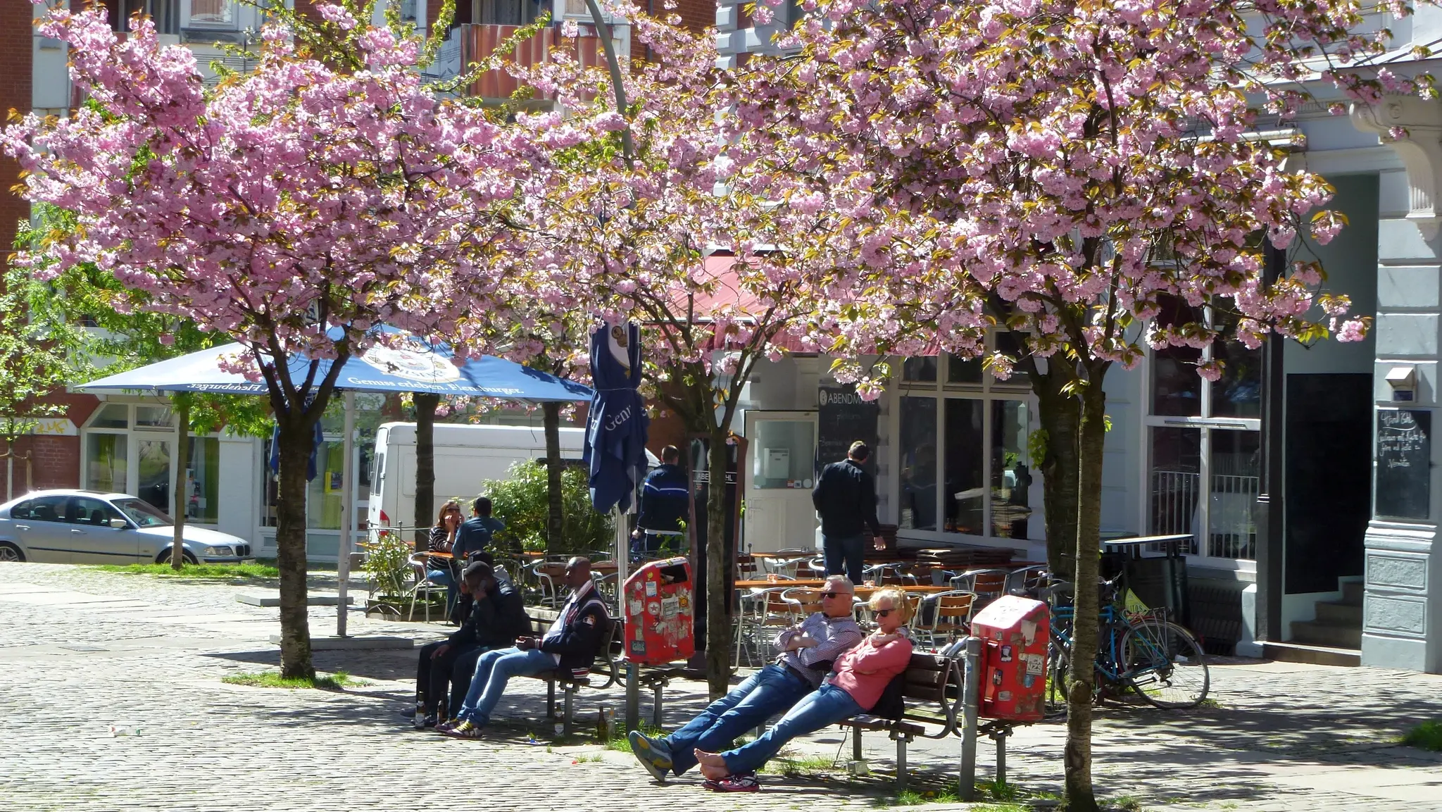 Personen auf Bänken unter blühenden Bäume in St. Pauli
